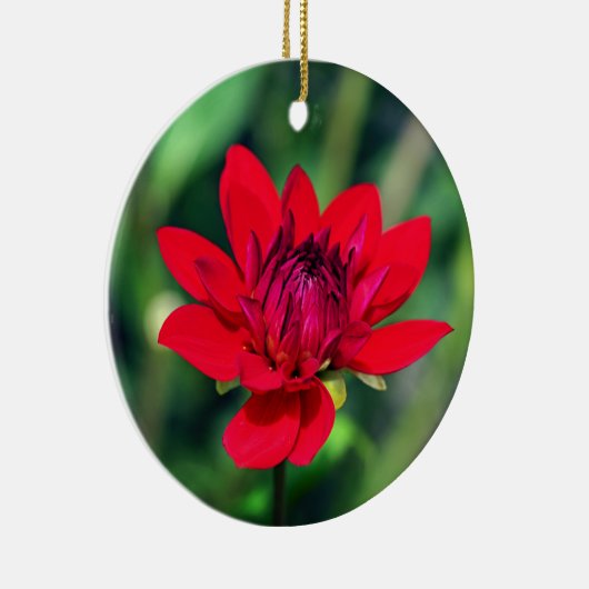 Solitary Red Dahlia Flower Wisley Motivatie Keramisch Ornament (Rechts)
