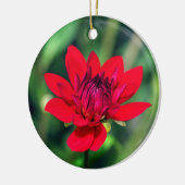 Solitary Red Dahlia Flower Wisley Motivatie Keramisch Ornament (Links)