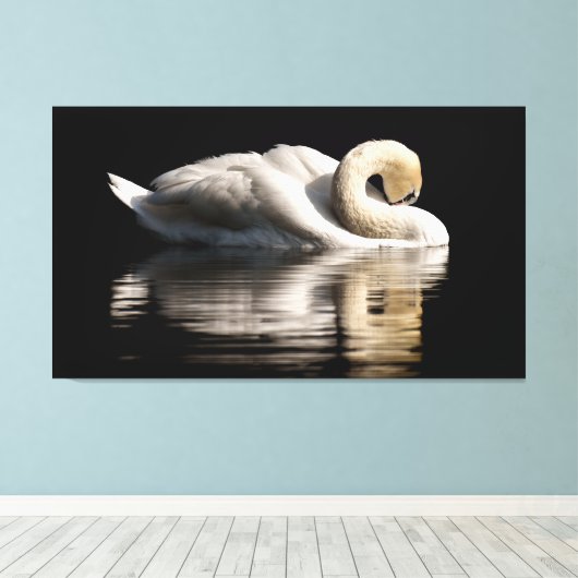 Solitary Swan Canvas Afdruk (Insitu (Houten vloer))