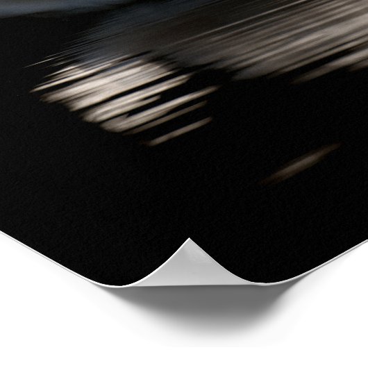 Solitary Swan Poster (Hoek)