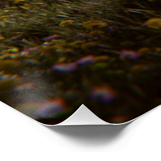 Solitary Tree Poster (Hoek)