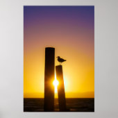 Solitude at Dusk Poster (Voorkant)