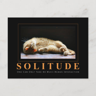 SOLITUDE Cat Photography Anti-Motivatie Briefkaart
