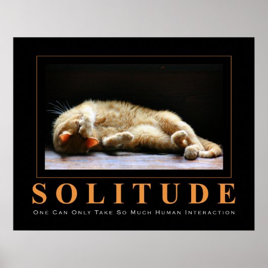SOLITUDE Cat Photography Anti-Motivatie Poster (Voorkant)