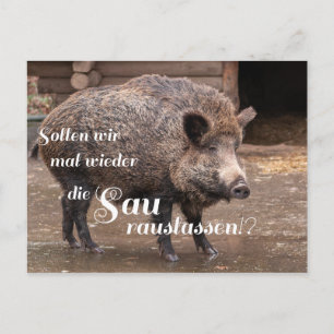 Sollen wir mal wieder die Sau rauslassen?!? Briefkaart