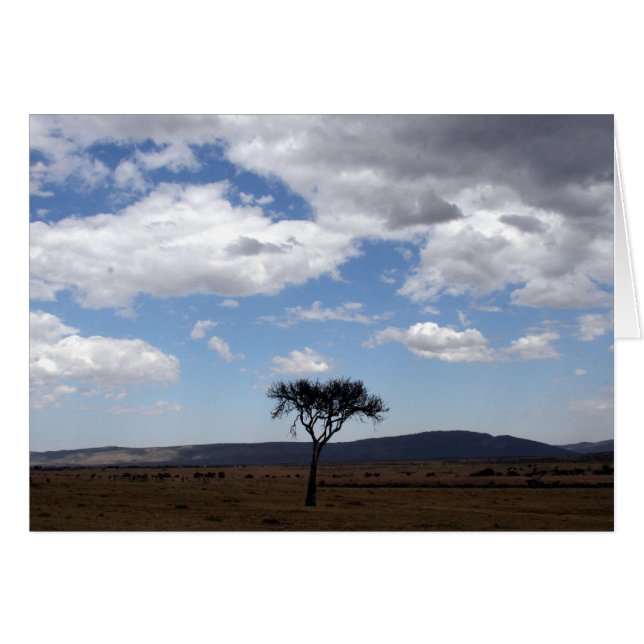 solo-boom (Voorkant Horizontaal)