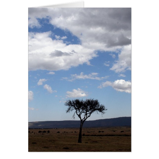 solo-boomwolken (Voorkant)