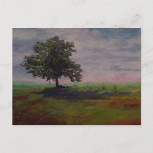 solo briefkaart (Voorkant)