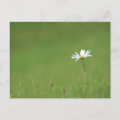 Solo Briefkaart (Voorkant)