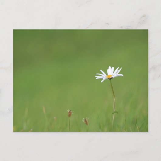 Solo Briefkaart (Voorkant)