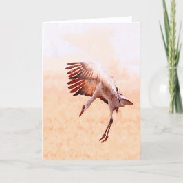 Solo de Kaarten van de Kraan Sandhill