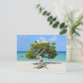 Solo Divi-boom in Aruba Briefkaart (Staand voorkant)