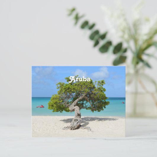 Solo Divi-boom in Aruba Briefkaart (Staand voorkant)