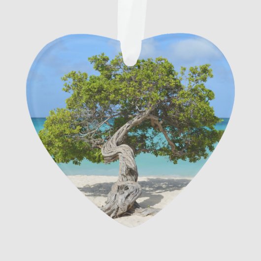 Solo Divi-boom in Aruba Ornament (achterkant)