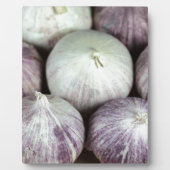 Solo Garlic Fotoplaat (Voorkant)