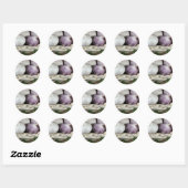 Solo Garlic Ronde Sticker (Vel)