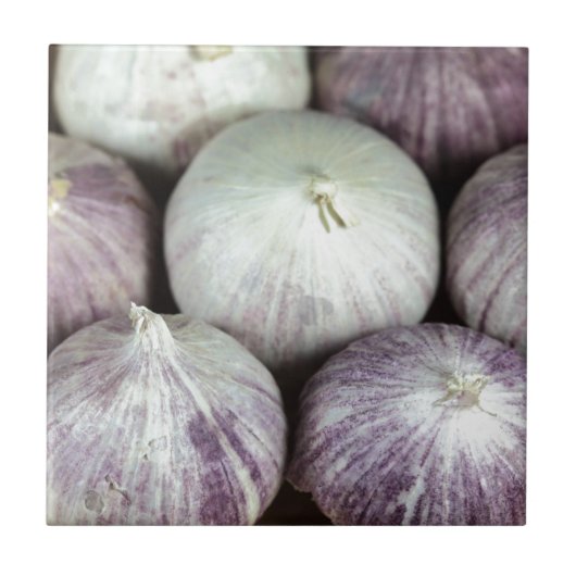 Solo Garlic Tegeltje (Voorkant)