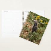 Solo Prairie Dog Planner (Display)