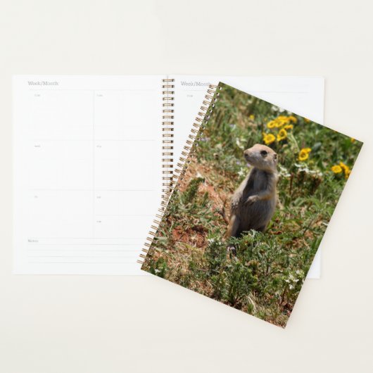 Solo Prairie Dog Planner (Display)