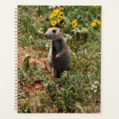 Solo Prairie Dog Planner (Voorkant)