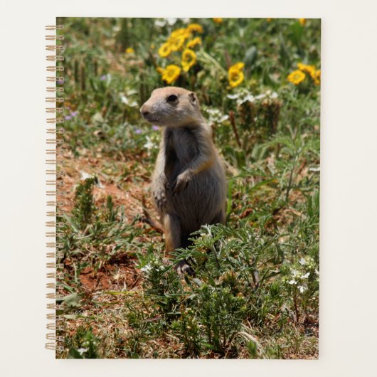 Solo Prairie Dog Planner (Voorkant)