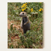 Solo Prairie Dog Planner (Achterkant)