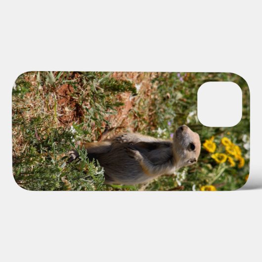 Solo Prairie Hond iPhone hoesjes (Achterkant (horizontaal))