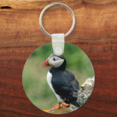 Solo Puffin Sleutelhanger (Voorkant)