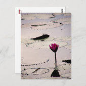 Solo-tus | Cambodja Briefkaart (Voorkant / Achterkant)