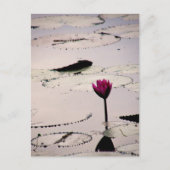 Solo-tus | Cambodja Briefkaart (Voorkant)