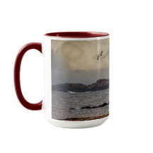 Solo vliegen bij Nubble Lighthouse