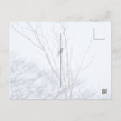 Soloïst Briefkaart (Achterkant)