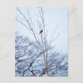 Soloïst Briefkaart (Voorkant)