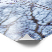 Soloïst Foto Afdruk (Hoek)