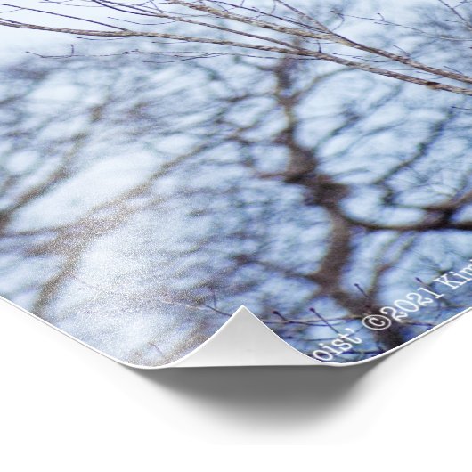 Soloïst Foto Afdruk (Hoek)