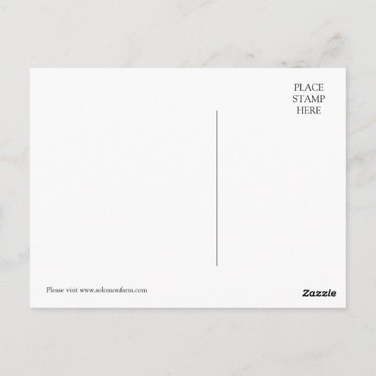 Solomon Boerderij Briefkaart (Achterkant)