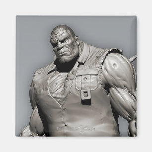 Solomon Grundy Alternate Magneet