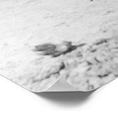 Solomon Islands War Canoe, 1922 Poster (Hoek)