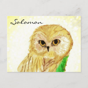 Solomon the Wise Owl from the Sara Books Briefkaart