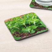 Solomons Seal Bier Onderzetter (Linkerzijde)