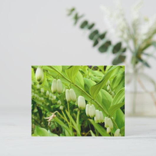 Solomons Seal Briefkaart (Staand voorkant)