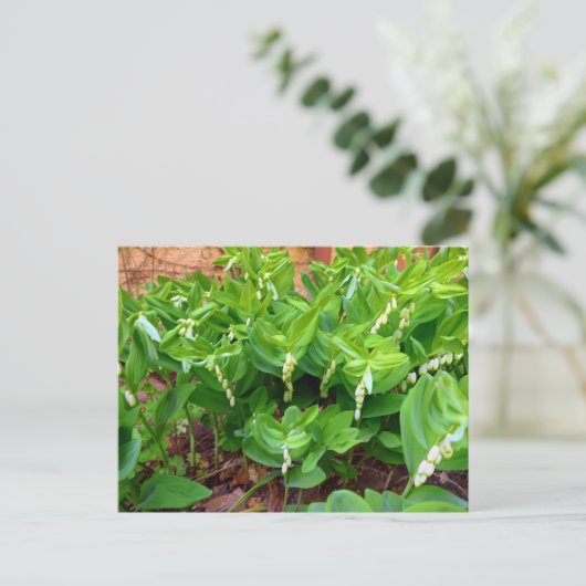 Solomons Seal Briefkaart (Staand voorkant)