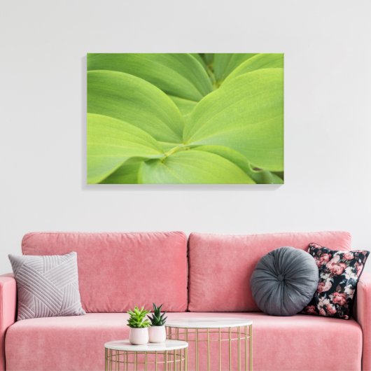 Solomons Seal Canvas Afdruk (Insitu (Woonkamer))