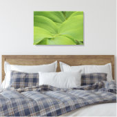 Solomons Seal Canvas Afdruk (Insitu (Slaapkamer))