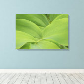 Solomons Seal Canvas Afdruk (Insitu (Houten vloer))