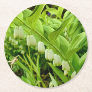 Solomons Seal Ronde Kartonnen Onderzetter