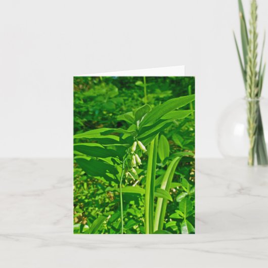 Solomon's Seal Wildflower Note Kaart (Voorkant)