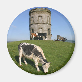 Solomon's Temple koelkastmagneet Magneet