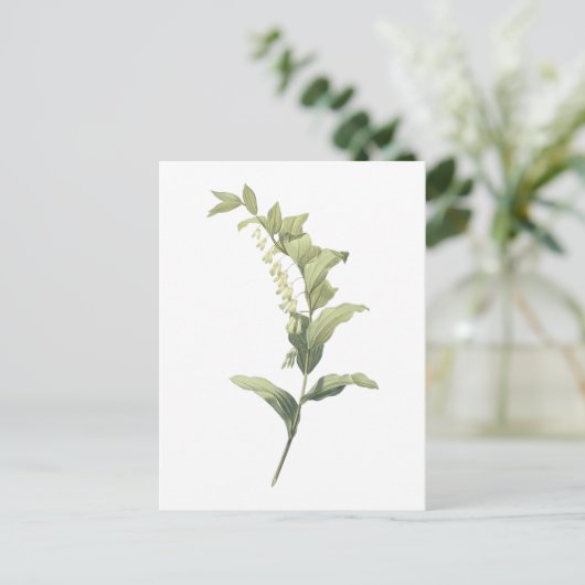Solomon's zeehond (Polygonatum multiflorum) van Re Briefkaart (Staand voorkant)