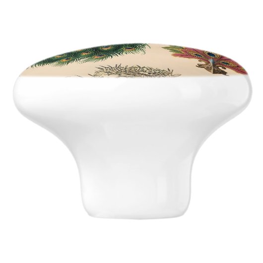  solopauw keramische knop (Zijkant)